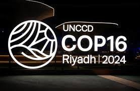 Logotipo de la COP16