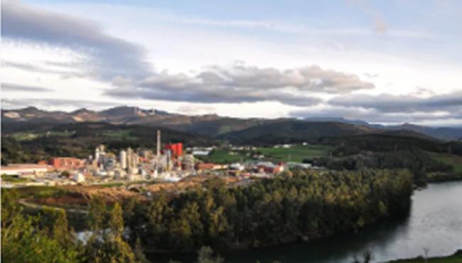 Ence actualiza su Plan de Descarbonización con una reducción del 75% de las emisiones absolutas en 2035 | Foto de Ence
