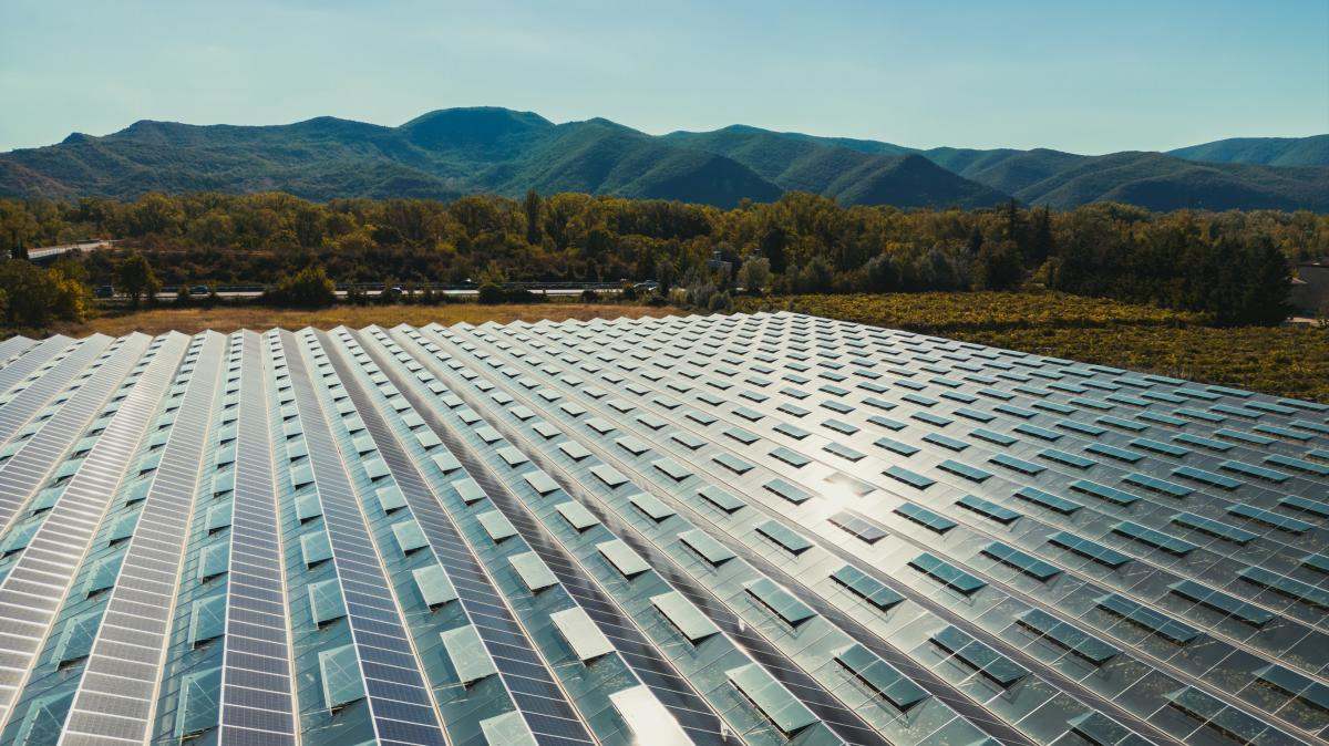 Placas solares en un campo | Foto de 123RF/trickhunter