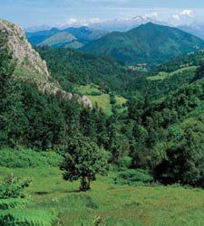 asturias.jpg