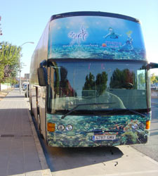 autobus_egipto.jpg