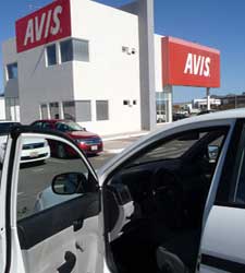 avis.jpg