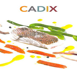 guia_cadiz.jpg