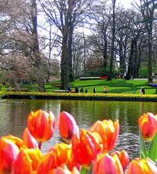 holanda.jpg