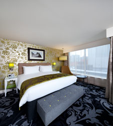 indigo_glasgow.jpg