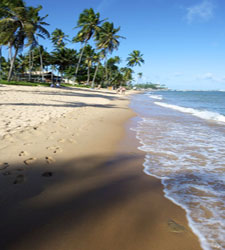 salvadordebahia.jpg