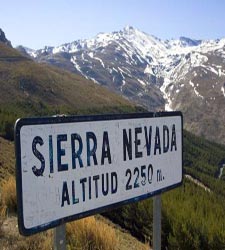 sierra_nevada_cartel.jpg