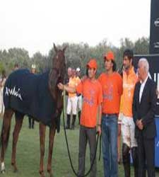 sotogrande.jpg