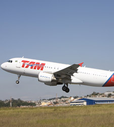 tam_mayo.jpg