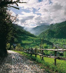 valle_aller.jpg