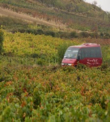 vinobus.jpg