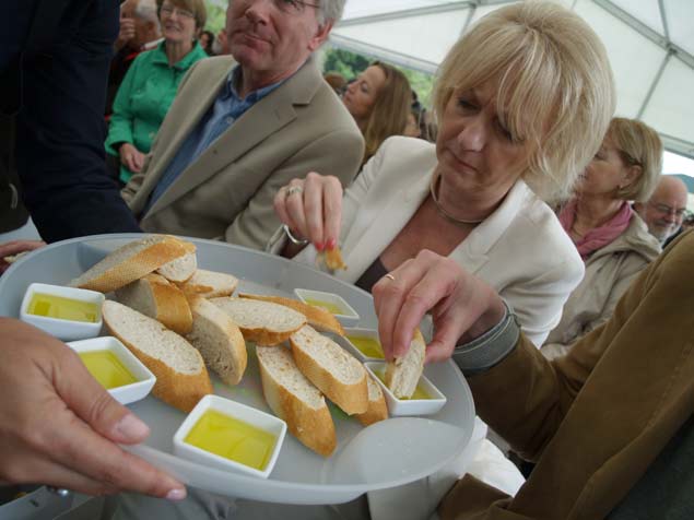 Taste_of_dublin.jpg