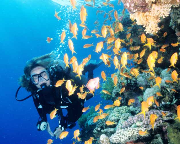 buceo_egipto.jpg